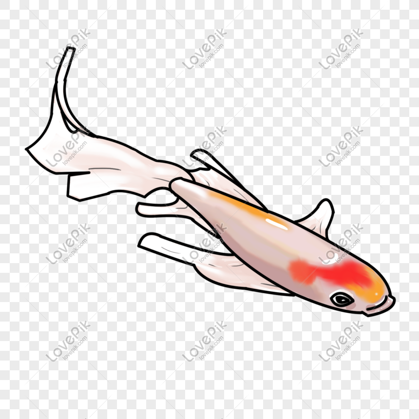 Paling Keren Ilustrasi Ikan Koi Nico Nickoo