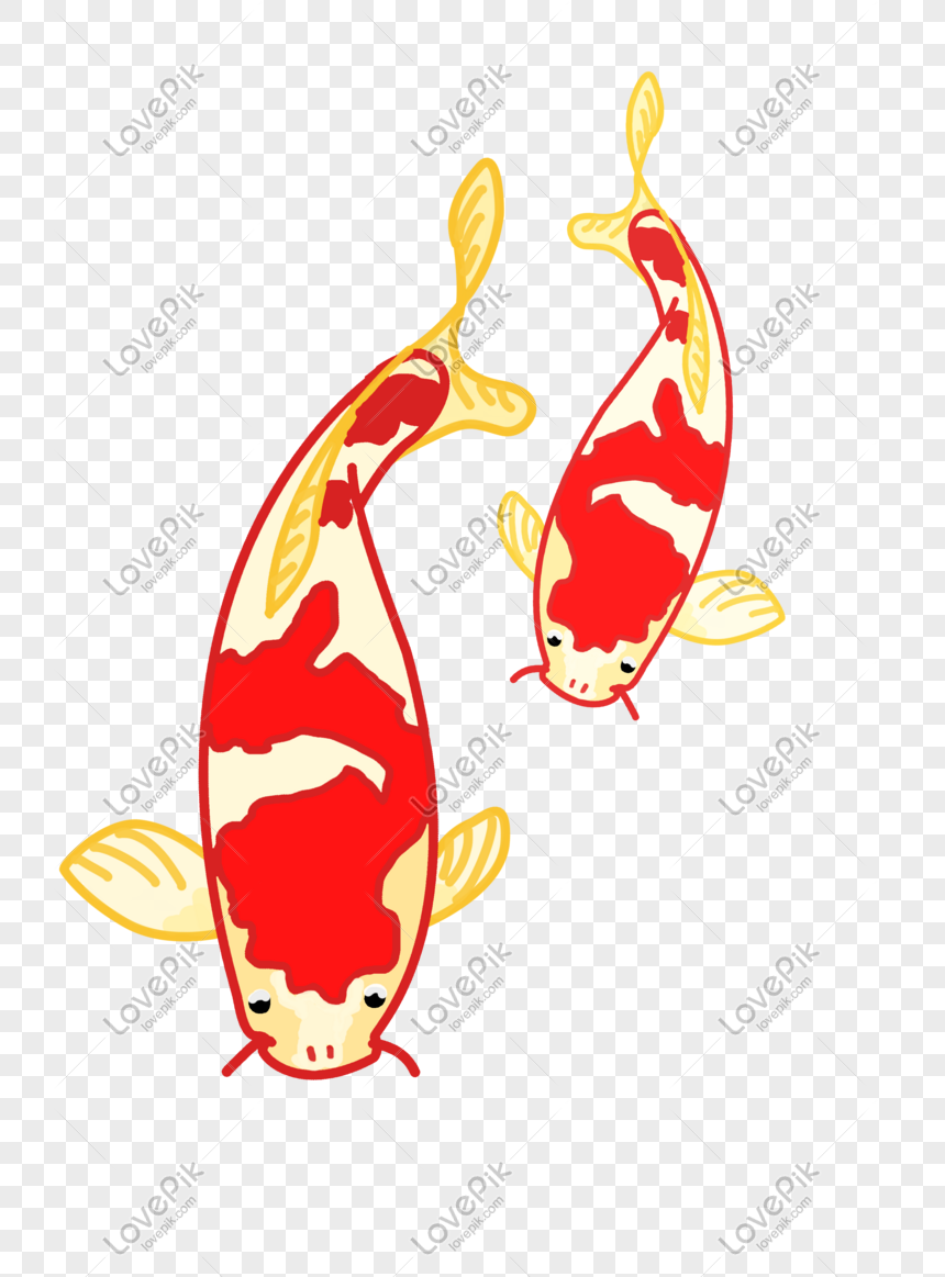 Gambar Ilustrasi Ikan Koi