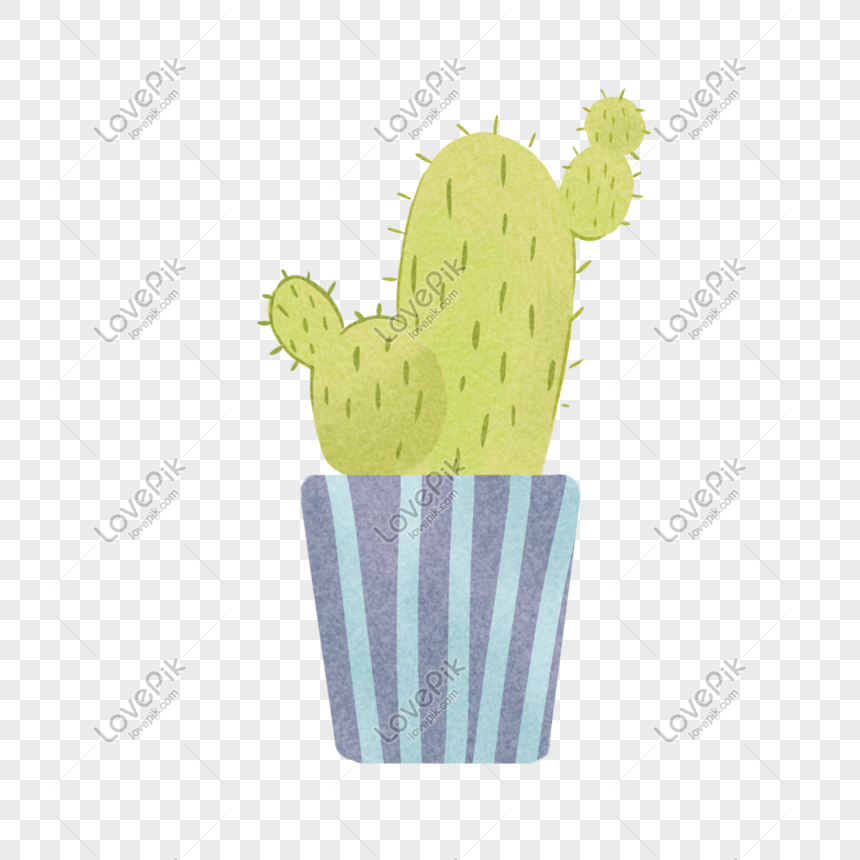 7 Cactus Illustration, Plant Drawing, Catus, Succulents, - Cactos Com  Flores Desenho Png - Free Transparent PNG Download - PNGkey