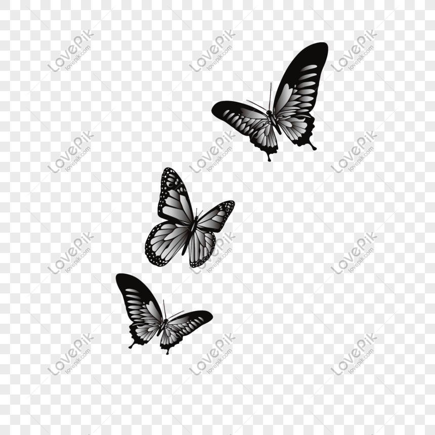 Cartoon Black And White Gradient Butterfly PNG Transparent Background And  Clipart Image For Free Download - Lovepik | 611284530