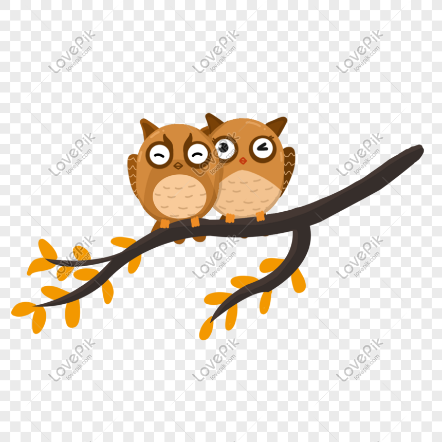 Cartoon Couple Animal Owl Twig Illustration PNG Transparent Background And  Clipart Image For Free Download - Lovepik | 611279390