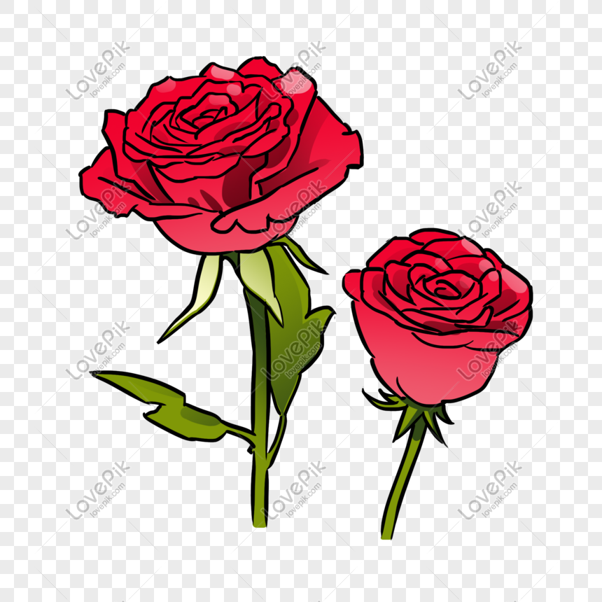 Hình ảnh hoa hồng đỏ sẽ mang đến cho bạn những cảm xúc tuyệt vời về tình yêu, sự lãng mạn và vẻ đẹp thiên nhiên. Hãy cùng đắm chìm vào vẻ đẹp của những bông hoa hồng đỏ trong tất cả những hình ảnh đẹp nhất.