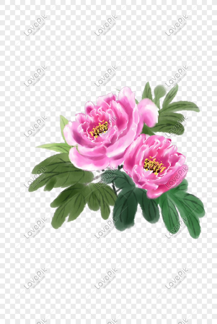 牡丹の花の手描き水彩イラストイメージ グラフィックス Id Prf画像フォーマットpsd Jp Lovepik Com