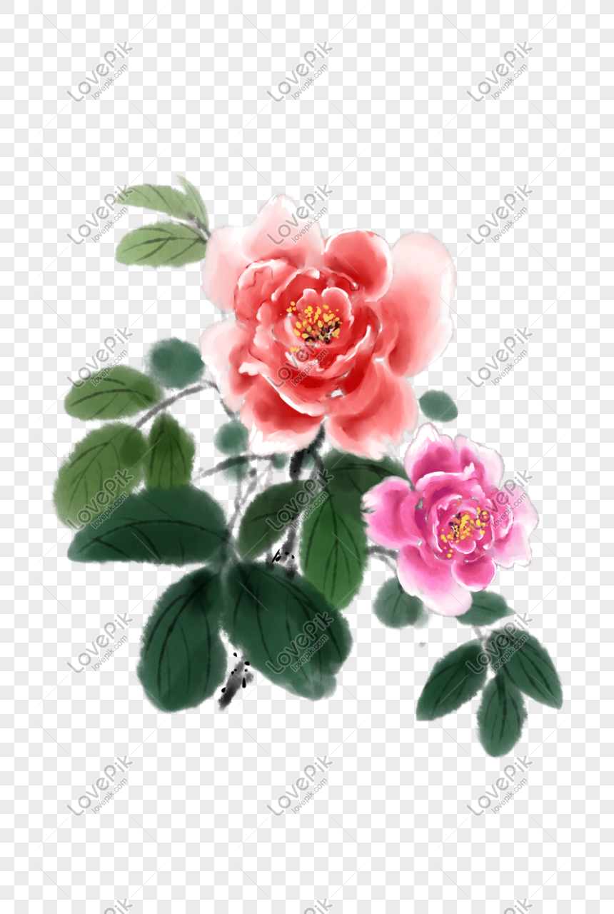 Spring Peony Hand Drawn Illustration PNG Image And Clipart Image ...