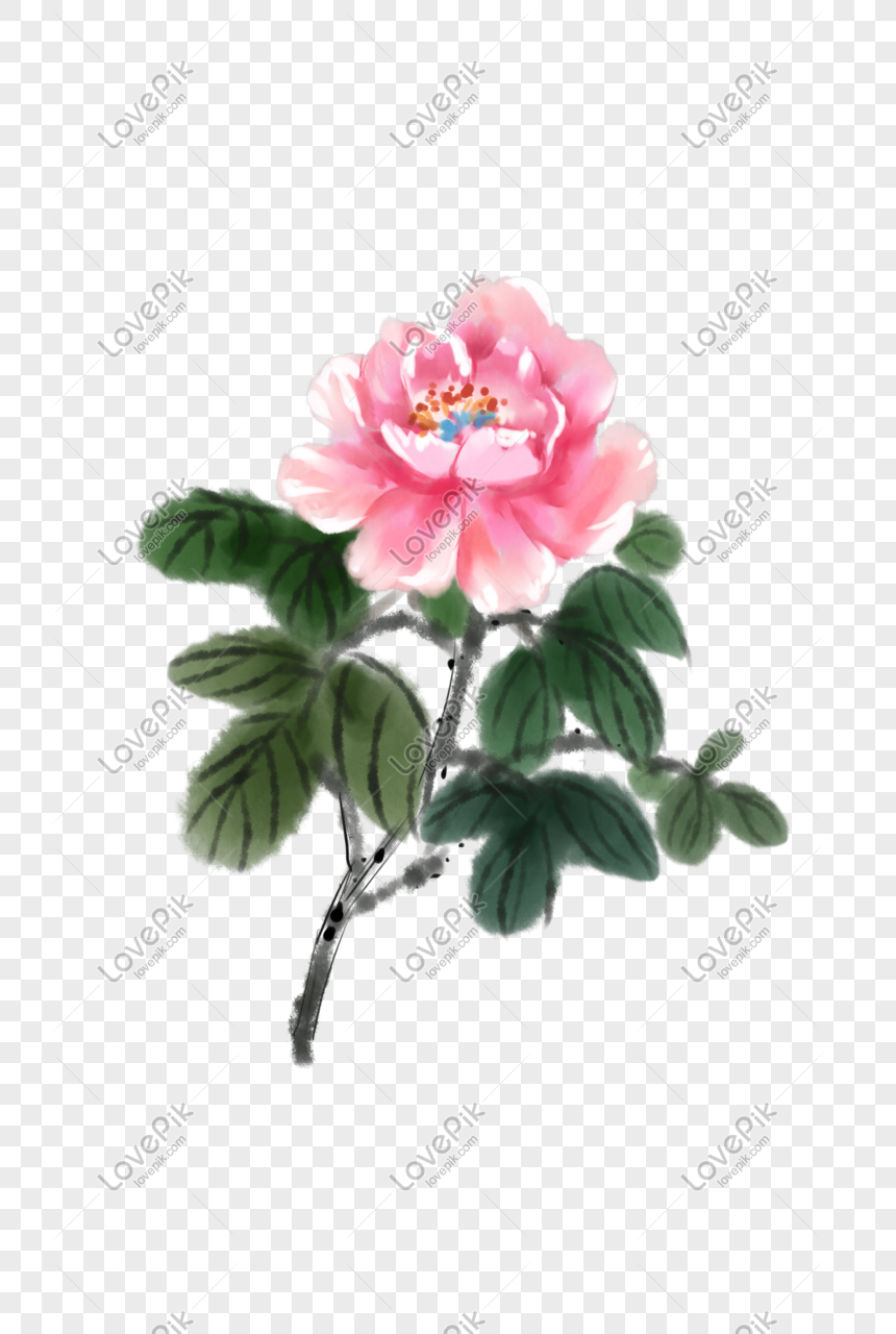 Rich Flower PNG Images With Transparent Background | Free Download ...
