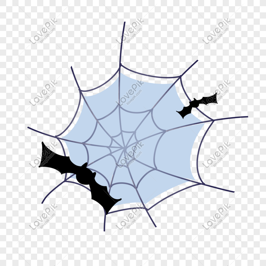 Spider Web Bat Illustration Border PNG Image Free Download And Clipart  Image For Free Download - Lovepik | 611307451