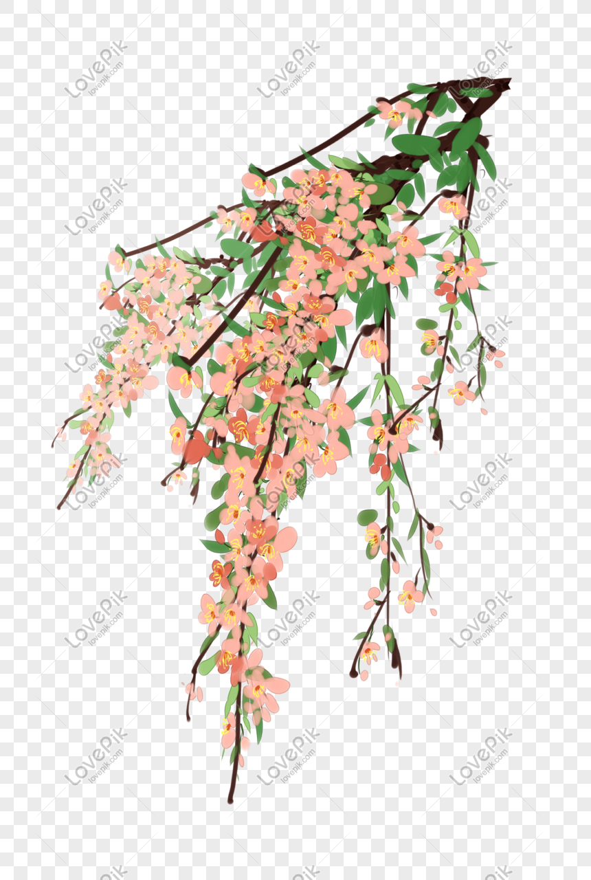 Ilustrasi Cabang Bunga Sakura Gambar Unduh Gratis Grafik