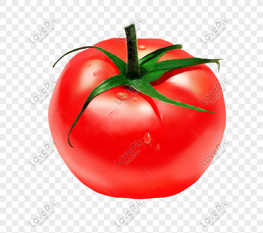 Contoh Buah Tomato Buah Gambar Unduh Gratis Imej