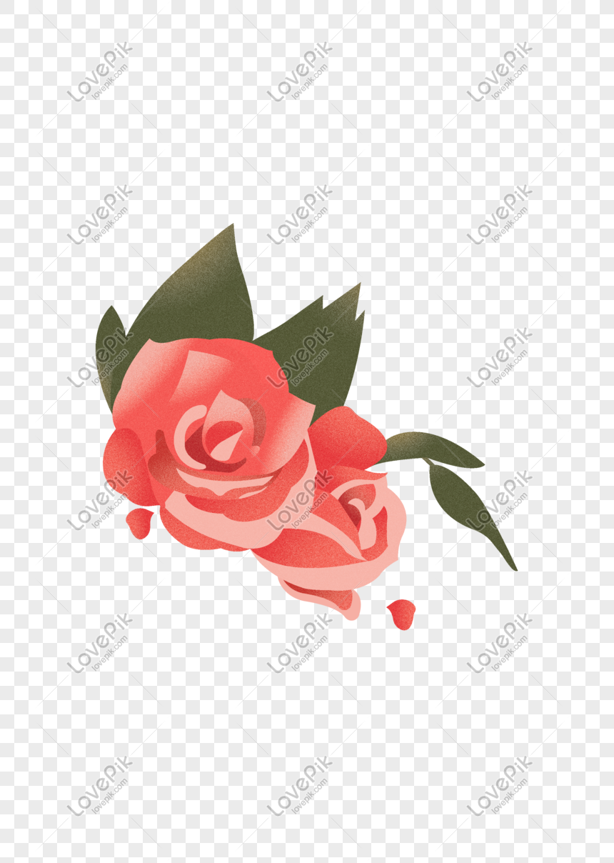 Fiesta De Celebración De Flores Rojas Rosas PNG Imágenes Gratis - Lovepik