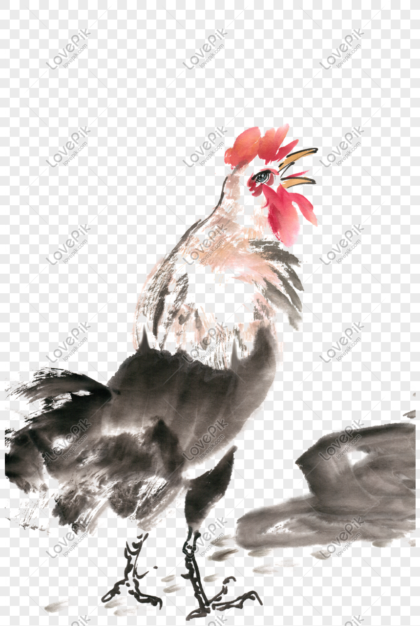 26 Kumpulan Gambar  Lucu Ayam  Berkokok Terkini Fullstiker