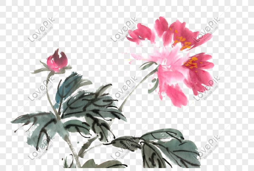 Hình ảnh Hoa Mẫu đơn Vẽ Mực Png PNG Miễn Phí Tải Về - Lovepik