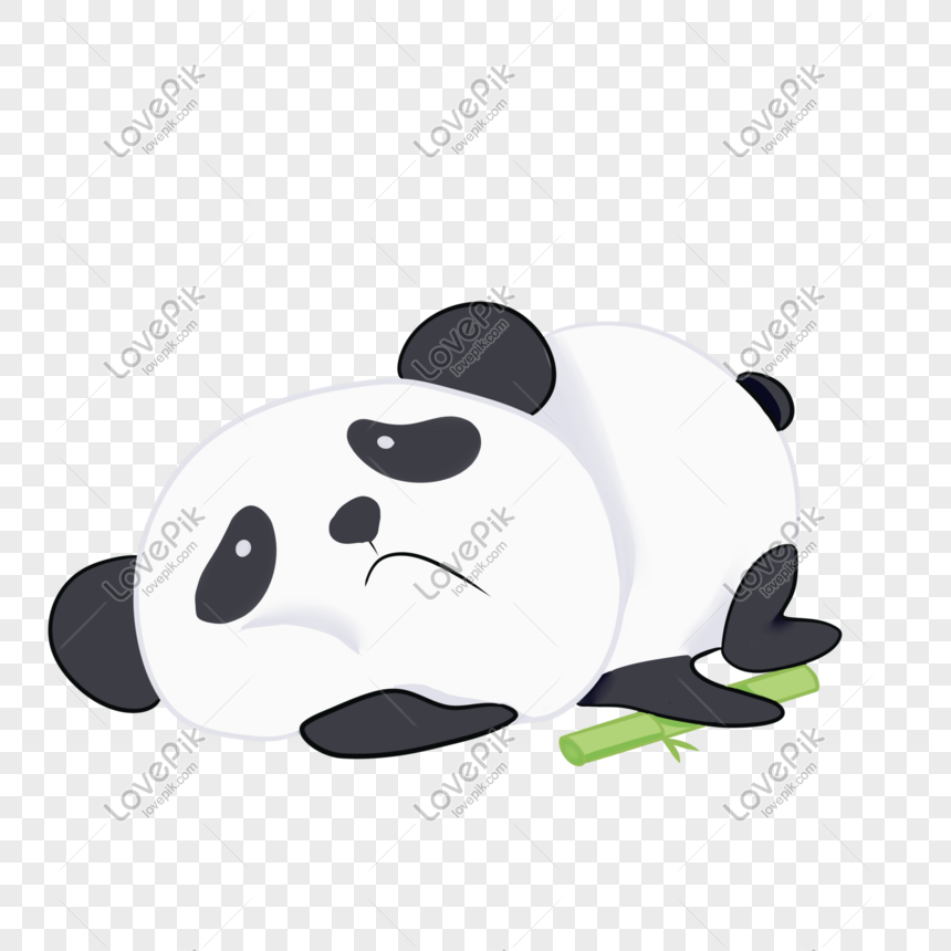 62 Contoh Gambar Ilustrasi Hewan Panda Gratis