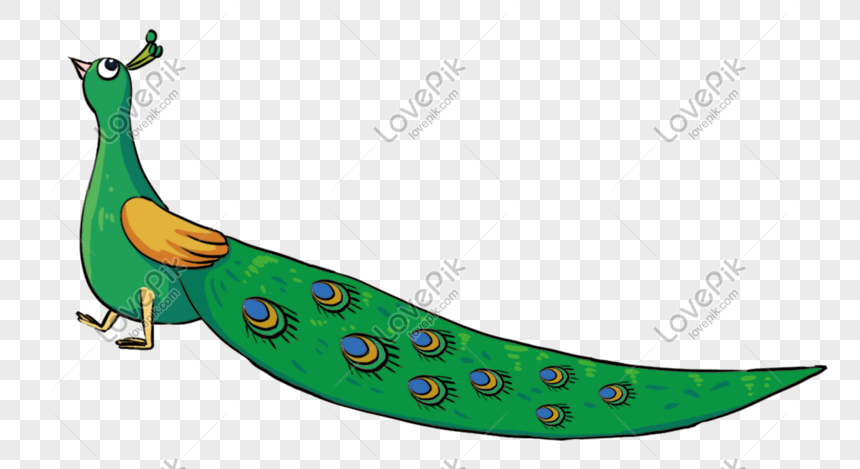 Zoo Green Cute Cartoon Peacock PNG Image And Clipart Image For Free  Download - Lovepik | 611342968