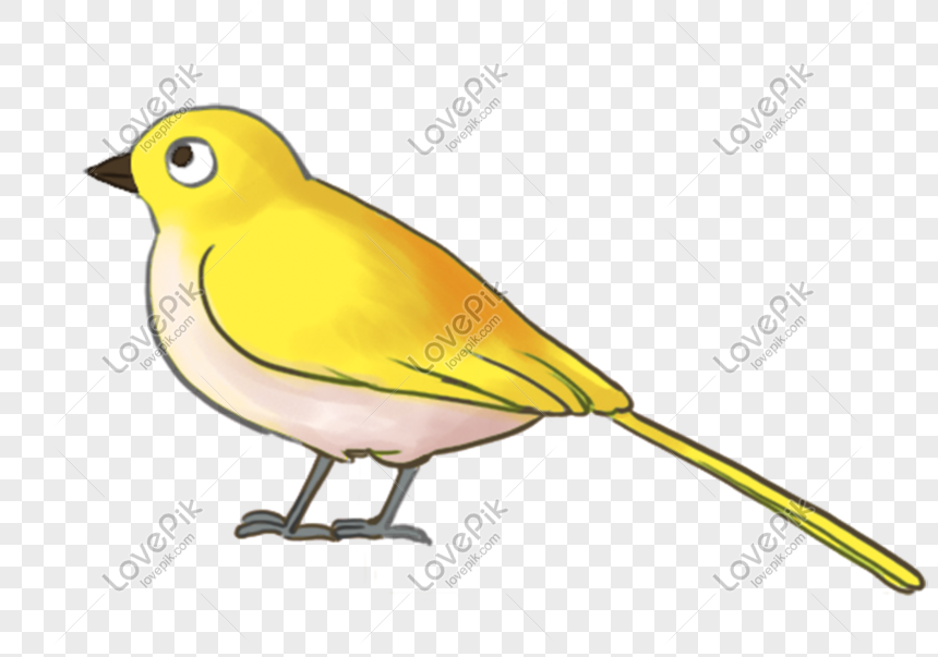 Yellow Cute Cartoon Bird PNG White Transparent And Clipart Image For Free  Download - Lovepik | 611342972