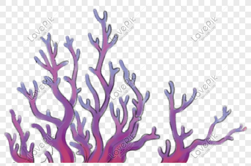 marine life purple coral png image picture free download 611342995 lovepik com marine life purple coral png