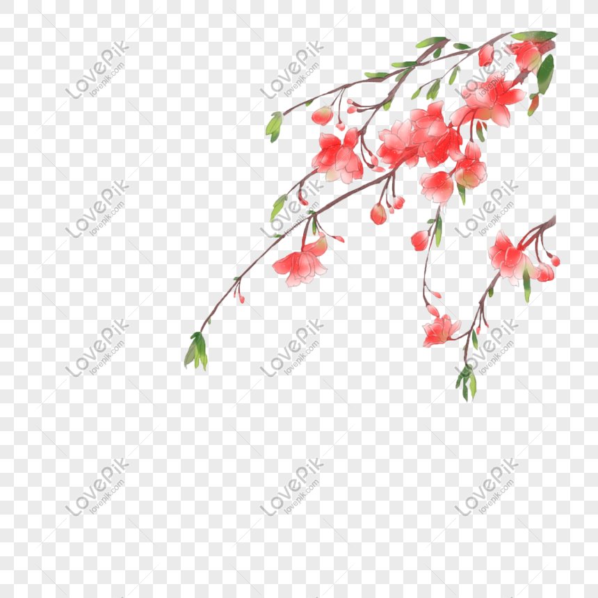 Blossom Flower PNG Image - PurePNG