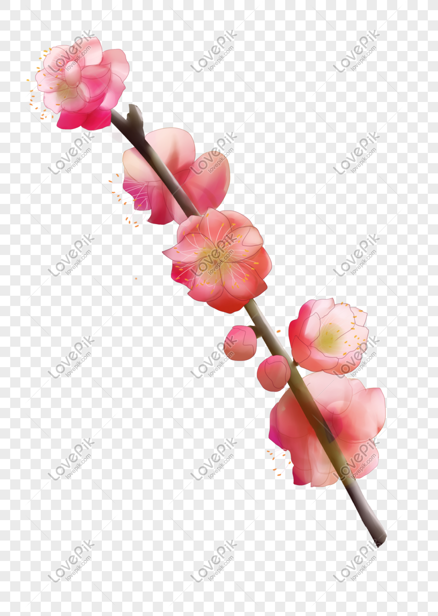 plum flower clipart
