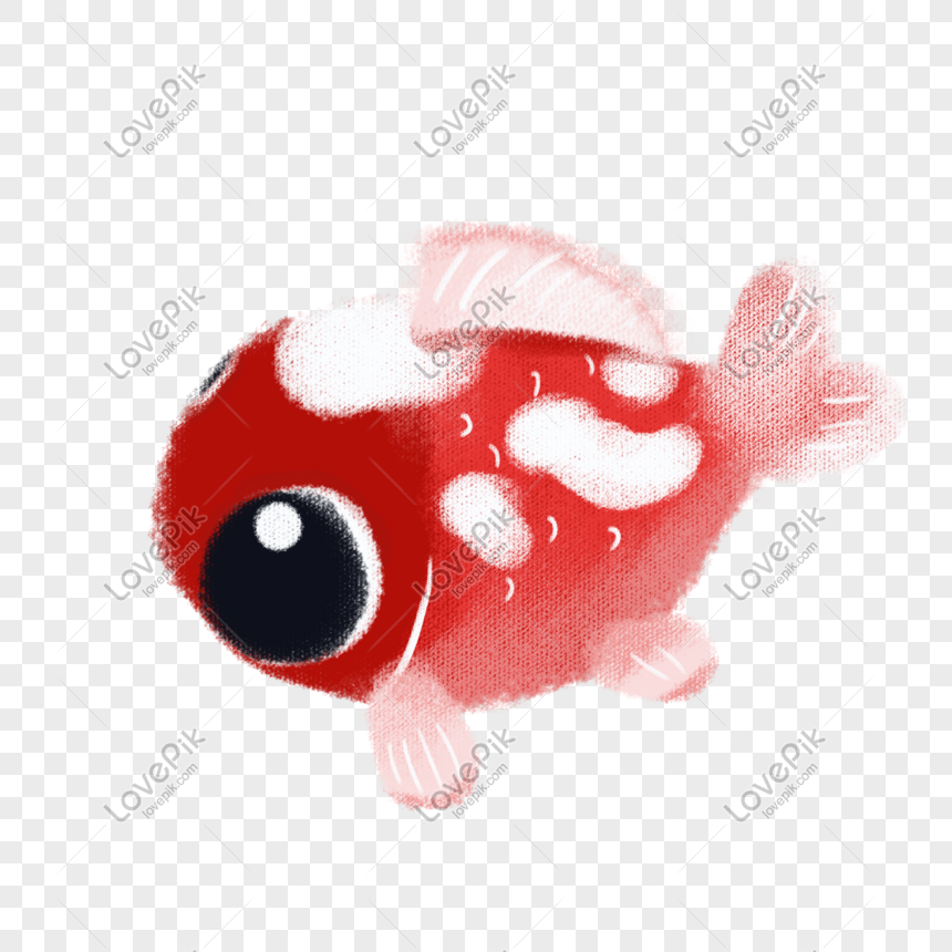 Big Eyes Red Carp Illustration PNG Transparent And Clipart Image For Free  Download - Lovepik | 611351076