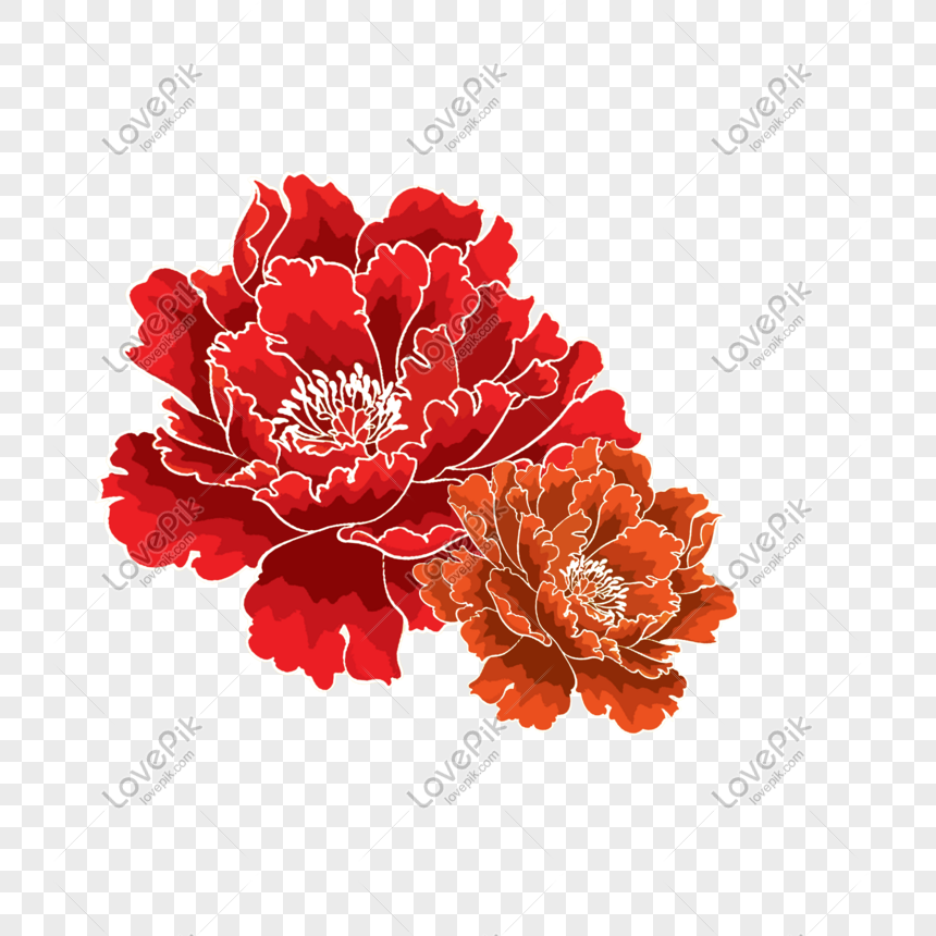 Ilustración De Flor De Peonía Rico Rojo PNG Imágenes Gratis - Lovepik