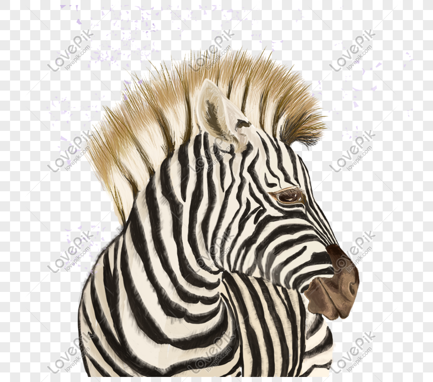 Download 54 Gambar Animasi Hewan Zebra Paling Baru - Gambar Animasi