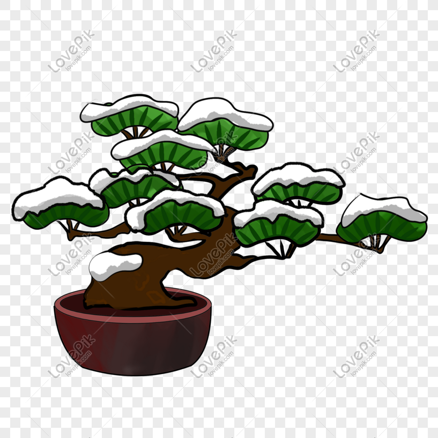 Hướng dẫn vẽ cây bonsai cho người mới bắt đầu