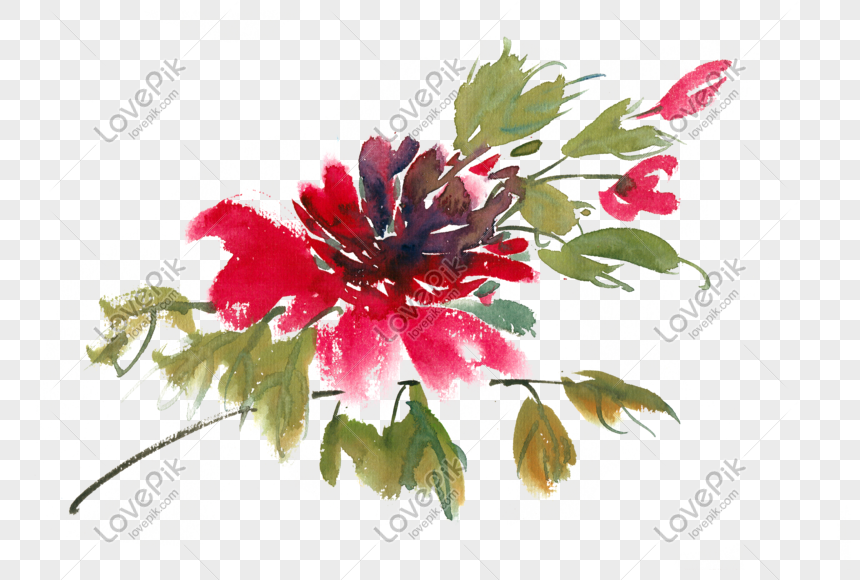 Photo de Matériel Libre Png Aquarelle Fleur Rouge Vif, aquarelle,  transparent, peint à la main Graphique images free download - Lovepik |  611379122