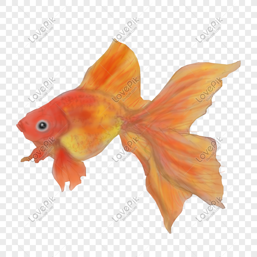 vecteur sans couture modèle, dessin animé Marin poisson rouge nager dans le  l'eau. 28111063 Art vectoriel chez Vecteezy