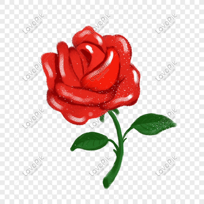 Ilustrasi Bunga Mawar Merah Digambar Tangan Gambar Unduh