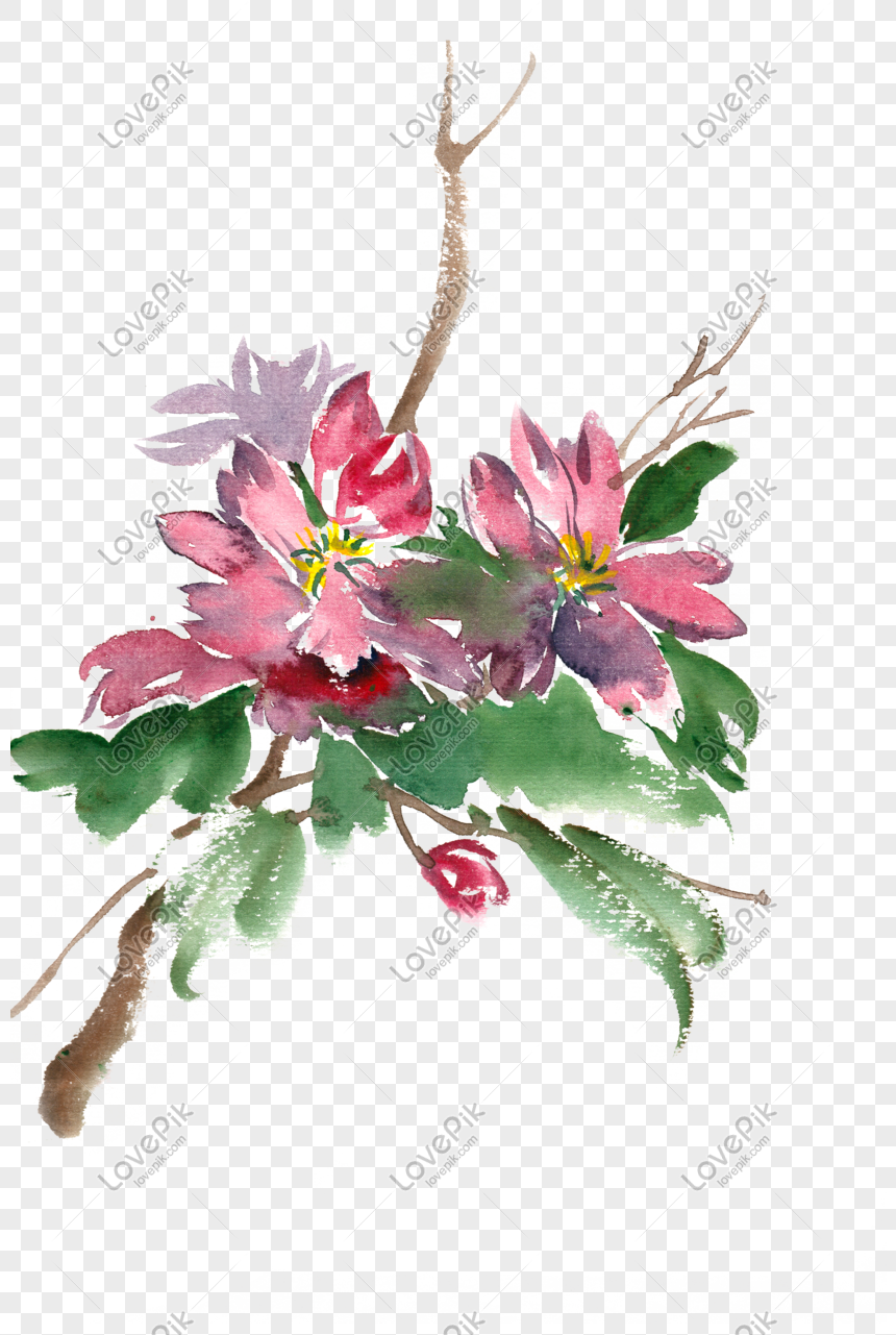 鮮やかな花の水彩画pngフリー素材イメージ グラフィックス Id 611386592 Prf画像フォーマットpsd Jp Lovepik Com