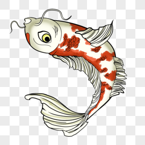 Koi Fish Png Images With Transparent Background 