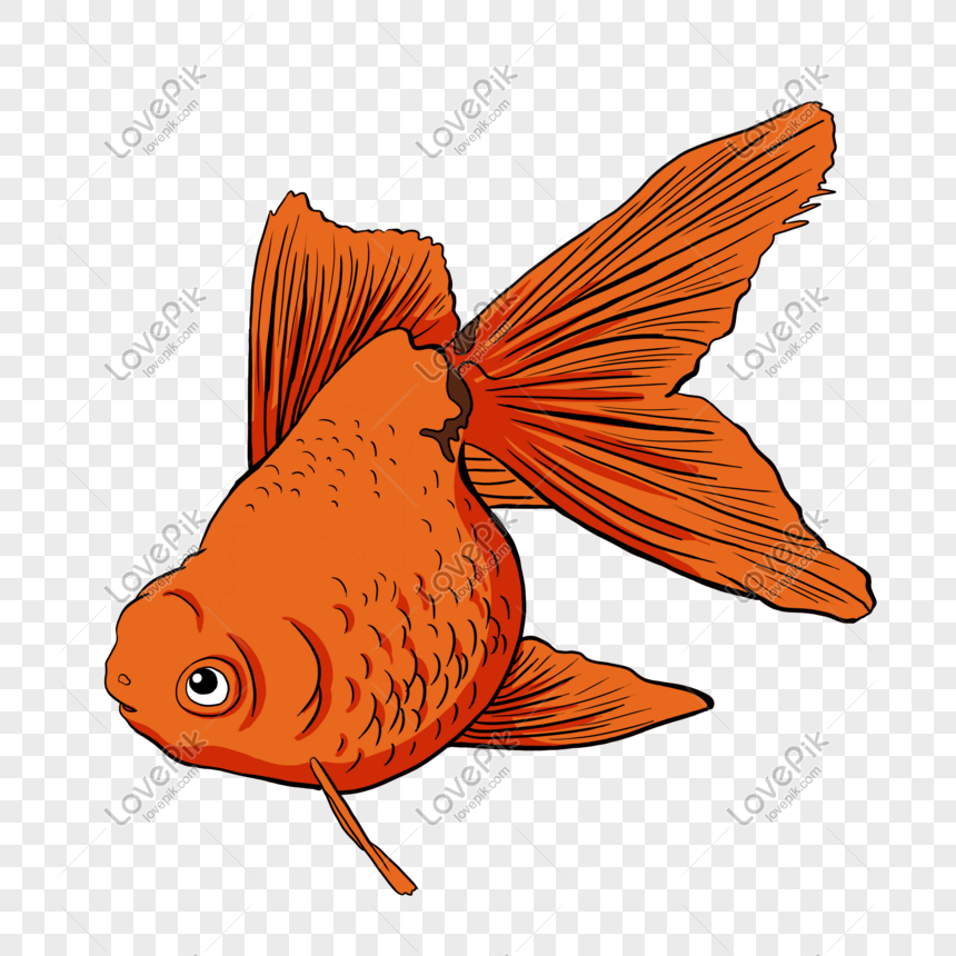 Keren 30 Gambar Ikan Hiu Kartun Png - Gambar Kartun Ku