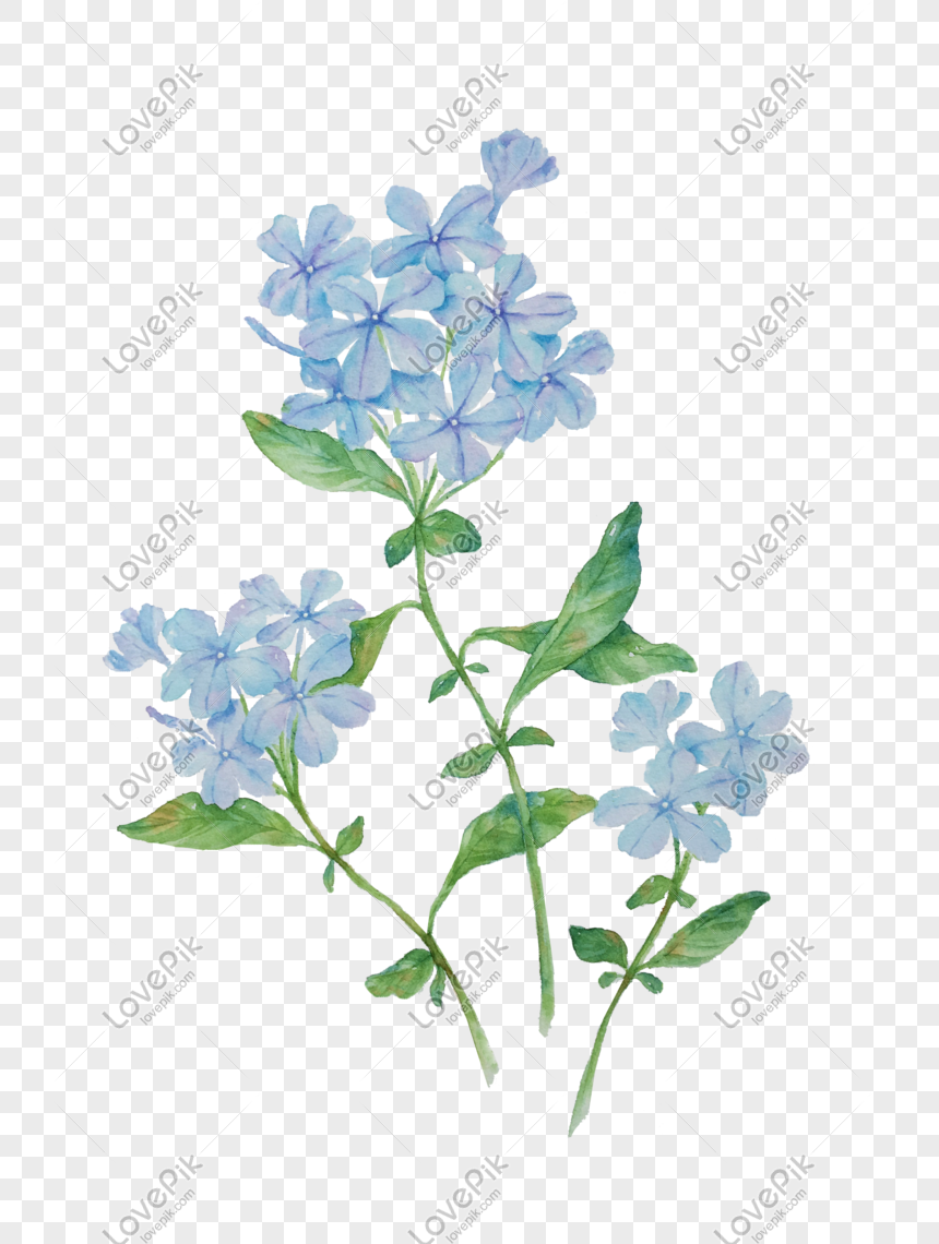Watercolor Plant Hand Drawn Illustration, Blue Snowflake, Bright, Blue ...