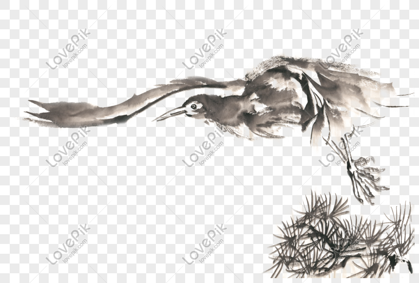 Kepala Pohon Pinus Burung Tinta Lukisan Bahan Png Gratis Png Grafik Gambar Unduh Gratis Lovepik