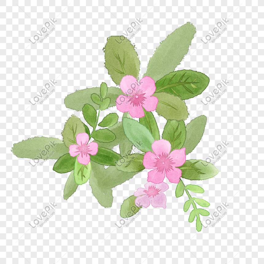 手描きの水彩画のピンクの花のイラストイメージ グラフィックス Id Prf画像フォーマットpsd Jp Lovepik Com