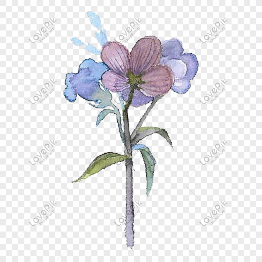 Ramo Azul Violeta Flores Hebilla Libre PNG Imágenes Gratis - Lovepik