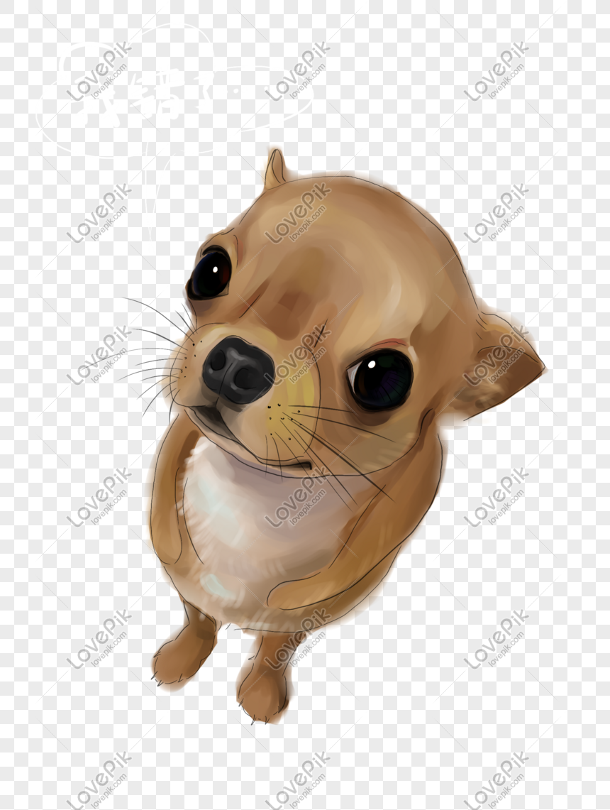 Hình ảnh Chó Năm Dễ Thương Chihuahua Chó đứng PNG Miễn Phí Tải Về ...