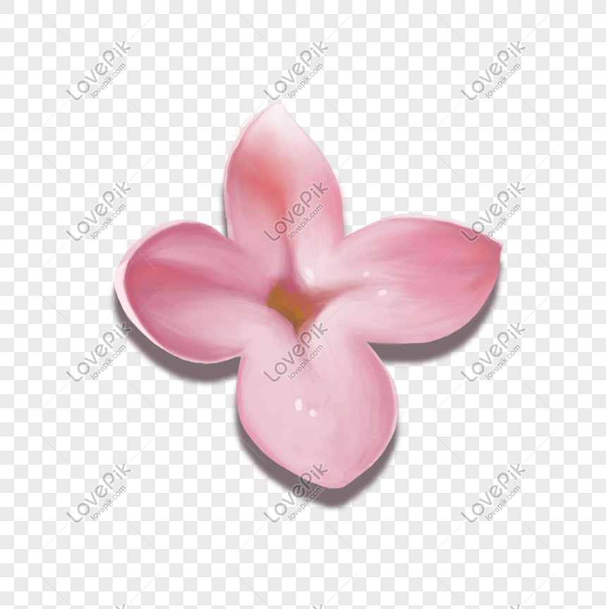 Flores Lilas Pintadas A Mano PNG Imágenes Gratis - Lovepik