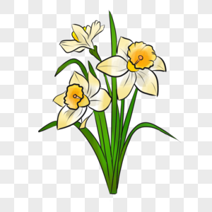 Free Free 231 Narcissus Flower Svg SVG PNG EPS DXF File