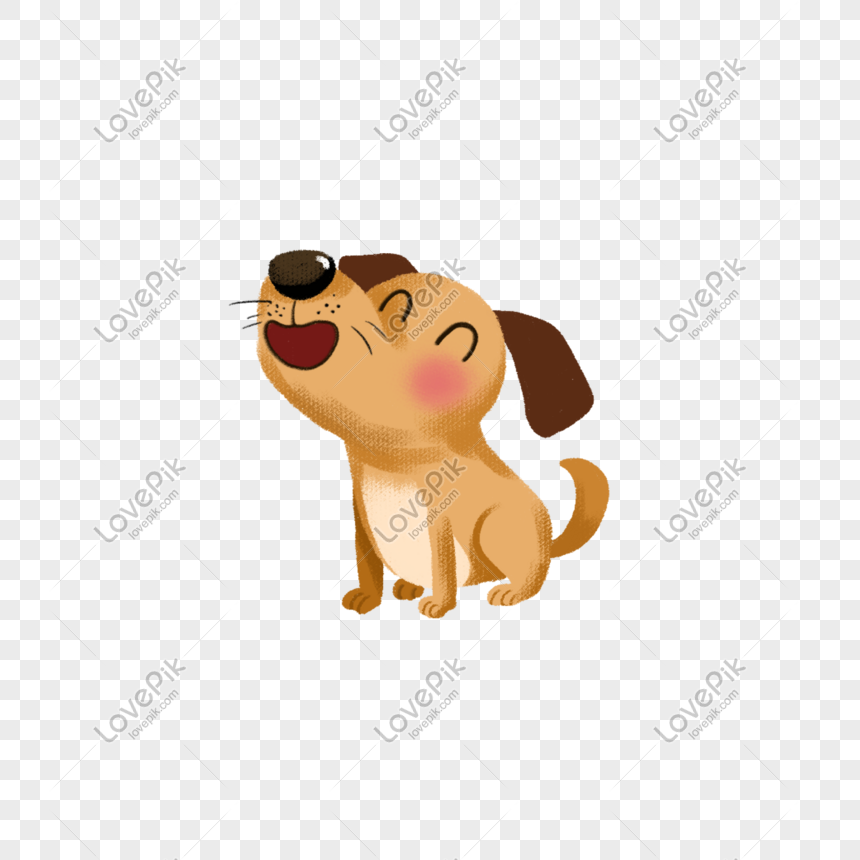 Bạn muốn thấy một chú chó cười tươi như ánh mặt trời? Bức ảnh \