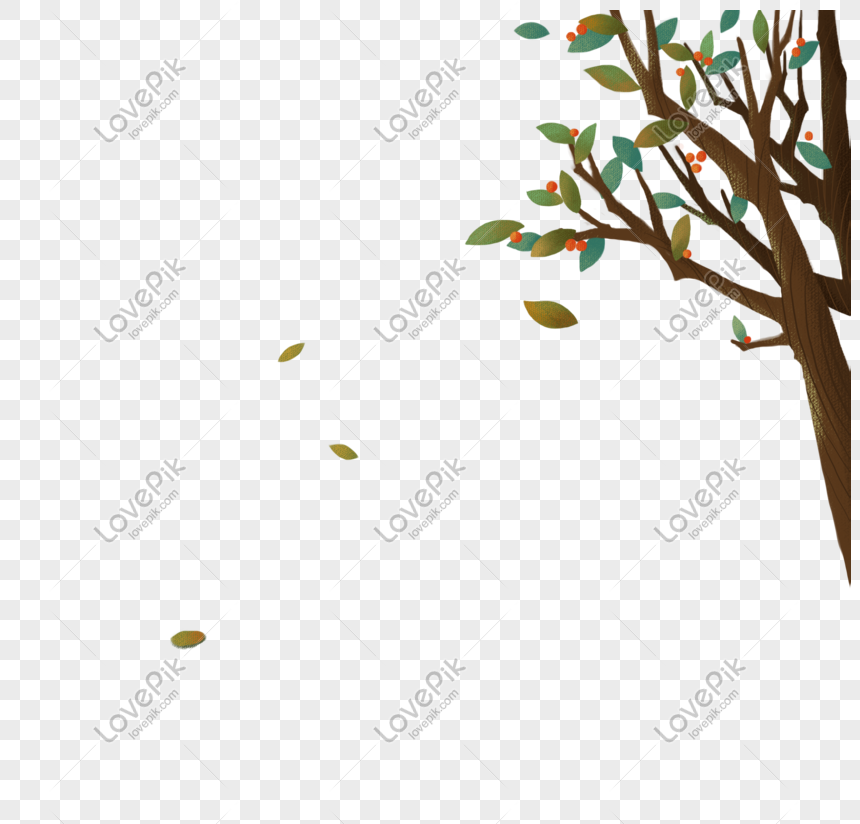 Dibujado A Mano Fruta De Arbol De Hoja Caduca A Finales De Otono Imagenes De Graficos Png Gratis Lovepik