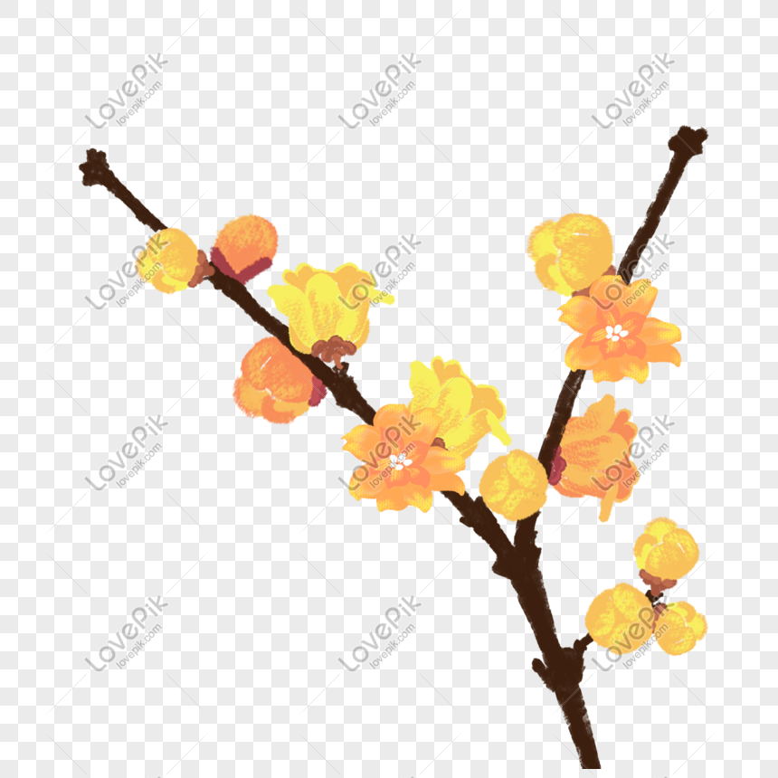 Chào đón mùa xuân với tranh 3D hoa mai vàng và hình vẽ cây mai đến từ các nghệ sĩ tài ba. Những hình ảnh này được tạo nên với độ chân thực đầy ấn tượng, sẽ khiến bạn cảm thấy như đang chạm vào những cánh hoa mai thật sự.