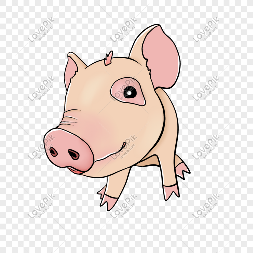 Cute Flower Eye Pig Selling Cute Avatar PNG Transparent Background ...