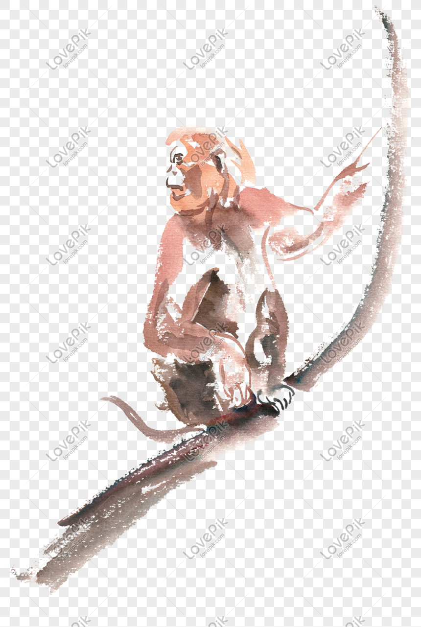 Alert Monkey Watercolor Png Free Material PNG Image And Clipart Image ...