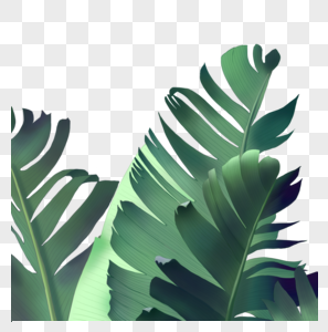 Green Plants PNG Images With Transparent Background | Free Download On ...