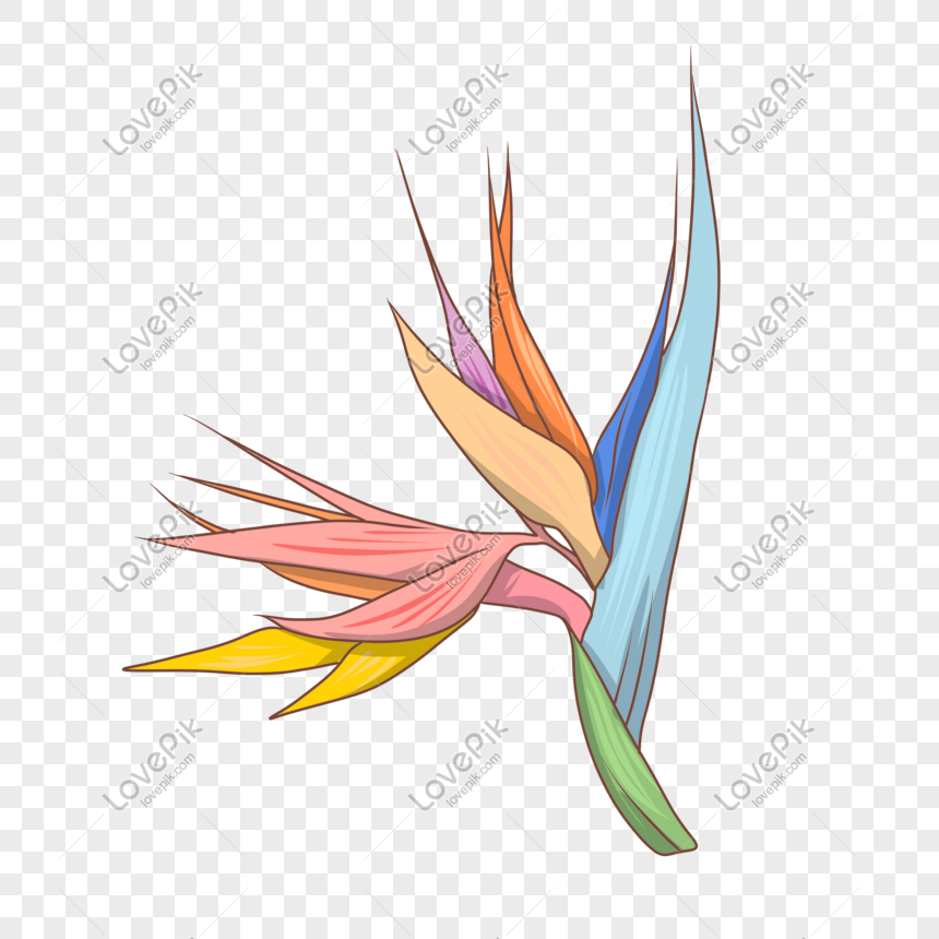 Dibujado A Mano Dibujos Animados Colorido Color Flora Flor Hoja PNG  Imágenes Gratis - Lovepik