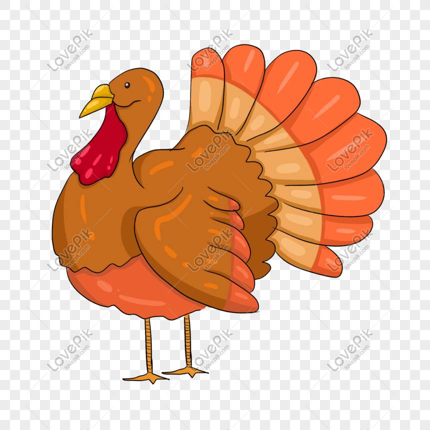 Turkey Cock Cartoon Vector PNG Image And Clipart Image For Free Download -  Lovepik | 611428658