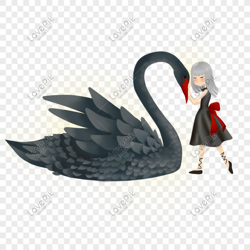 Cartoon Hand Drawn Fantasy Black Swan And Girl PNG Image And Clipart Image  For Free Download - Lovepik | 611435448