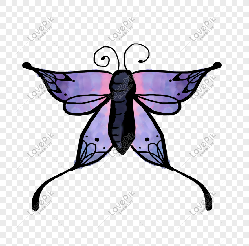Cartoon Butterfly Hand Drawn Illustration PNG Hd Transparent Image And  Clipart Image For Free Download - Lovepik | 611445654