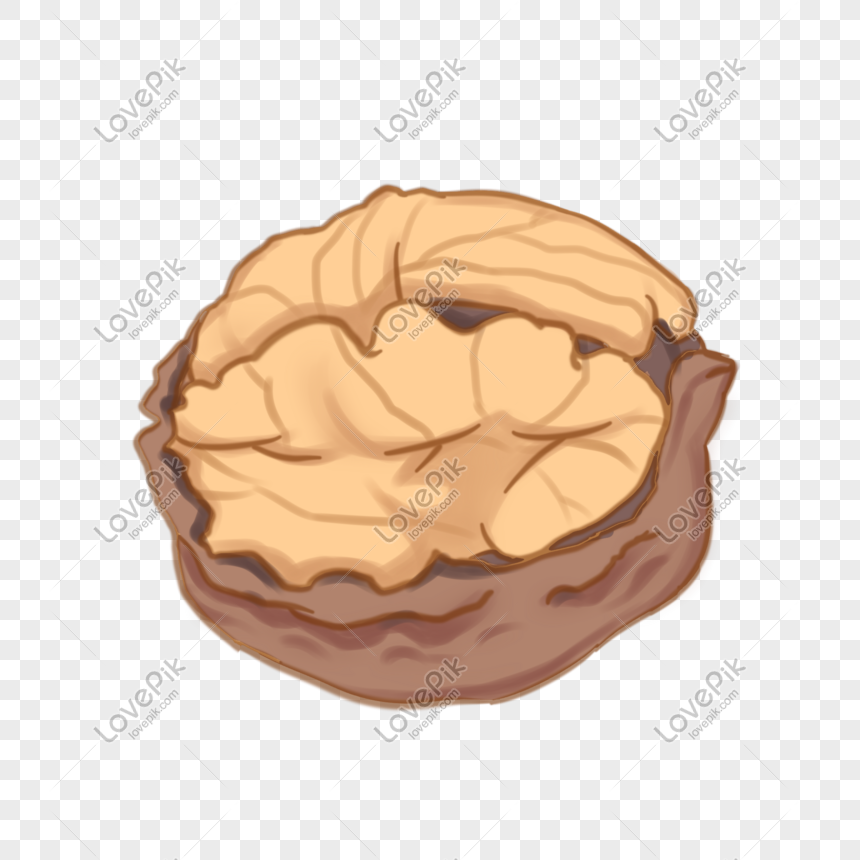 Hand Drawn Nutritious Dried Fruit Walnut Illustration PNG Hd Transparent  Image And Clipart Image For Free Download - Lovepik | 611446134