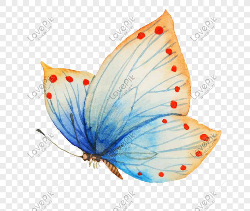 White Butterflies PNG Images With Transparent Background | Free Download On  Lovepik